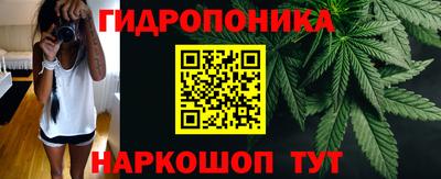 ПСИЛОЦИБИНОВЫЕ ГРИБЫ Краснокаменск