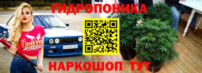 ПСИЛОЦИБИНОВЫЕ ГРИБЫ Краснокаменск