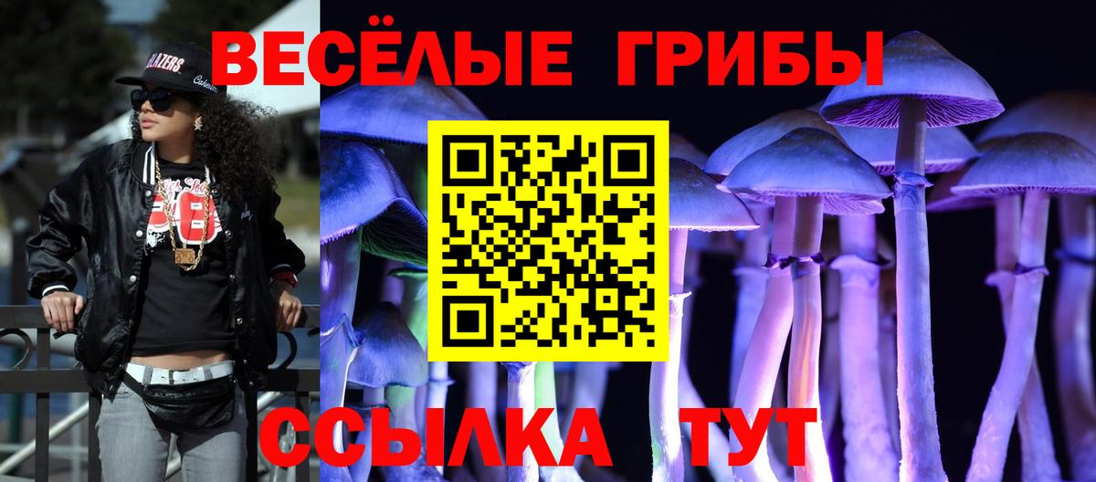 Псилоцибиновые грибы прущие грибы Казань